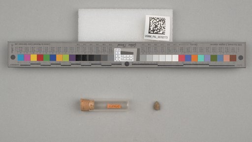 NSF ADBC EPICC TCN