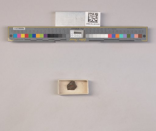 NSF ADBC EPICC TCN