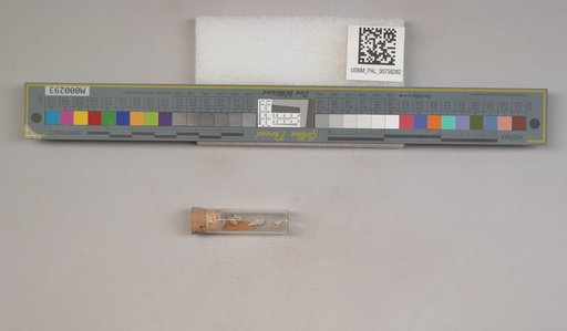 NSF ADBC EPICC TCN