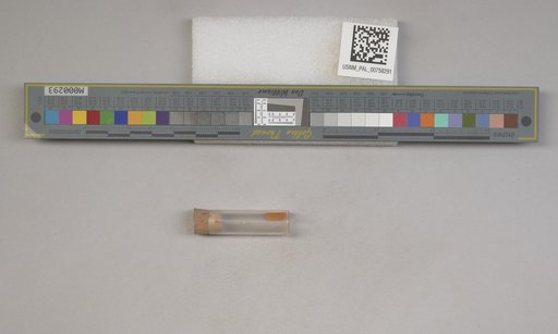 NSF ADBC EPICC TCN