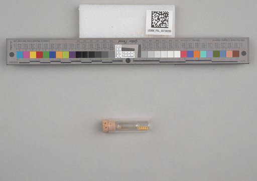 NSF ADBC EPICC TCN