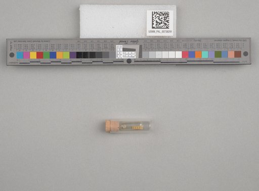 NSF ADBC EPICC TCN