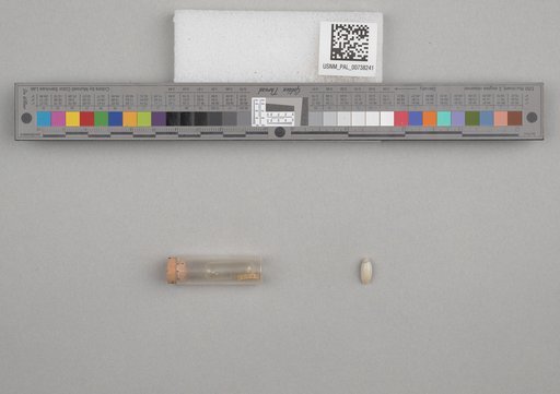 NSF ADBC EPICC TCN
