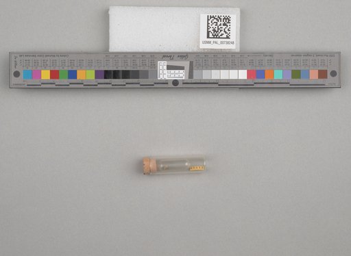 NSF ADBC EPICC TCN