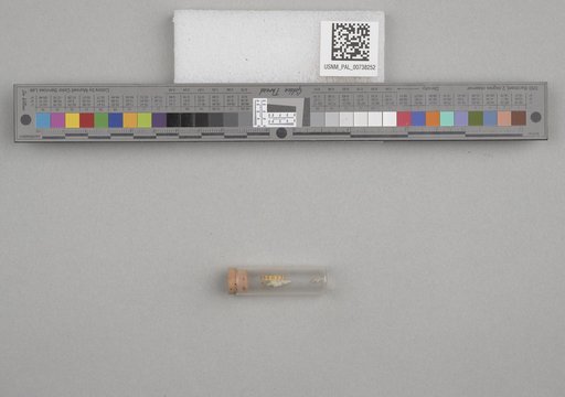 NSF ADBC EPICC TCN