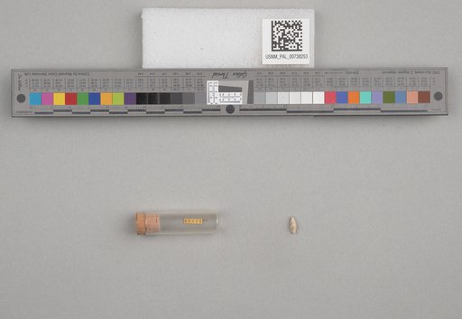 NSF ADBC EPICC TCN