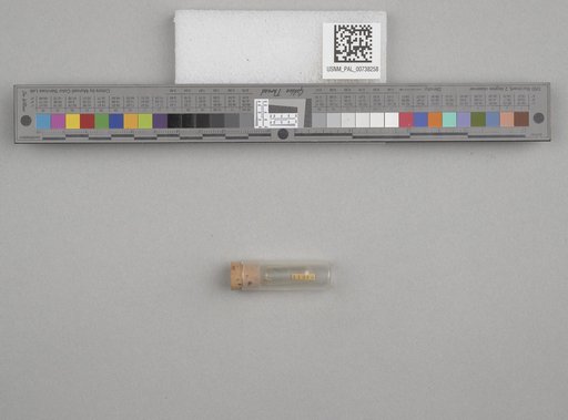 NSF ADBC EPICC TCN