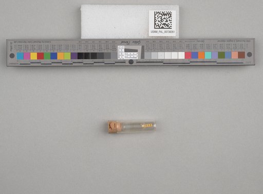NSF ADBC EPICC TCN