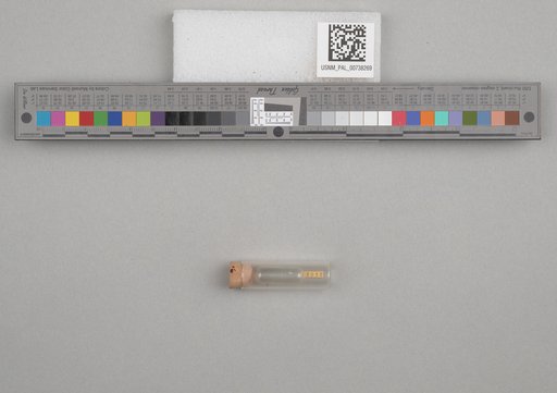NSF ADBC EPICC TCN