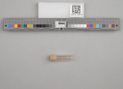 NSF ADBC EPICC TCN