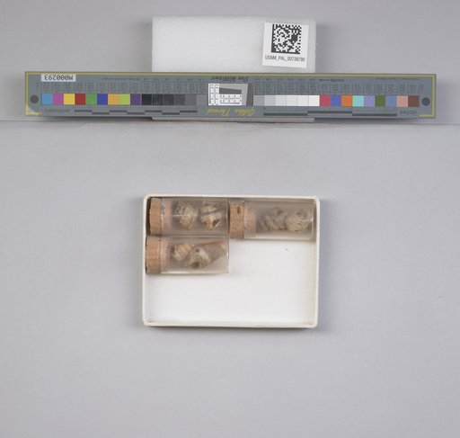 NSF ADBC EPICC TCN