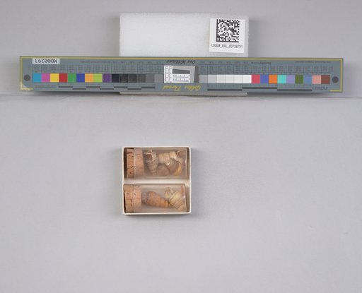 NSF ADBC EPICC TCN