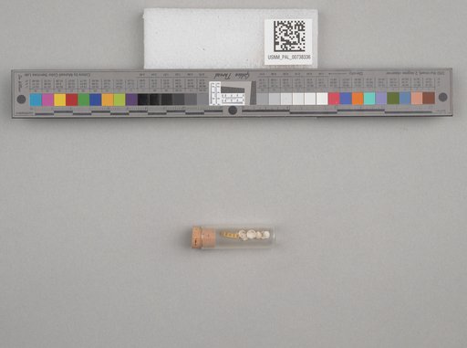 NSF ADBC EPICC TCN