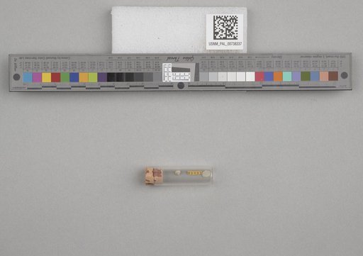 NSF ADBC EPICC TCN