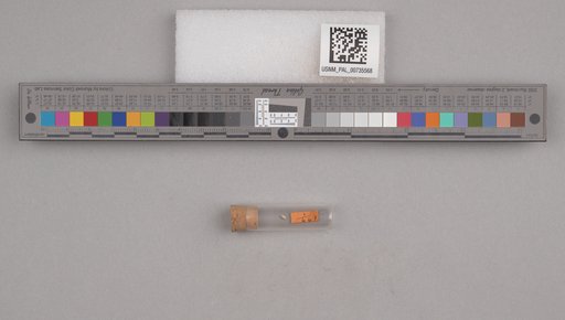 NSF ADBC EPICC TCN