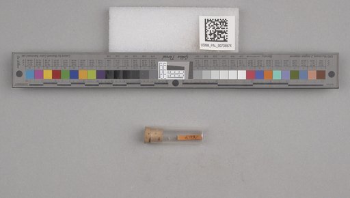 NSF ADBC EPICC TCN