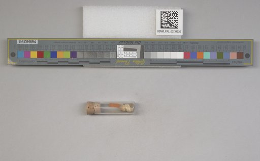 NSF ADBC EPICC TCN