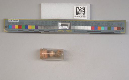 NSF ADBC EPICC TCN