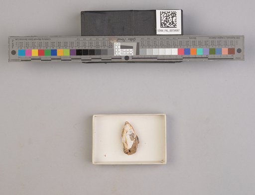 NSF ADBC EPICC TCN
