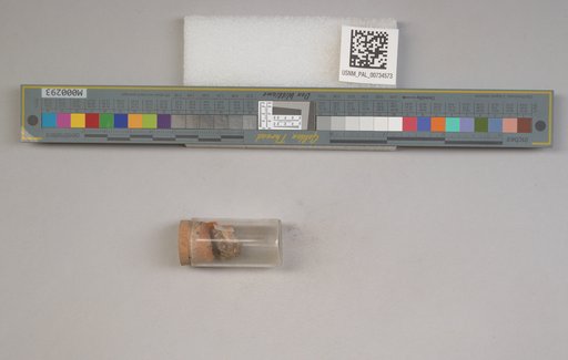 NSF ADBC EPICC TCN