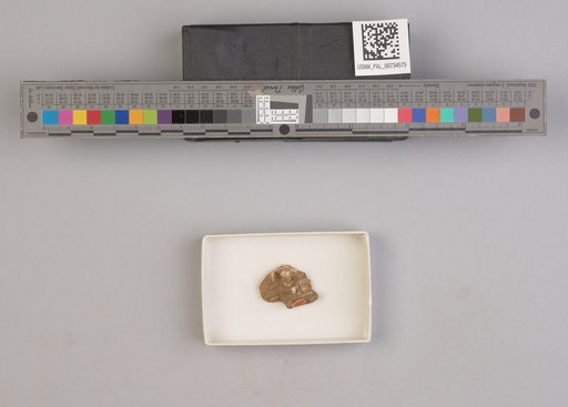 NSF ADBC EPICC TCN