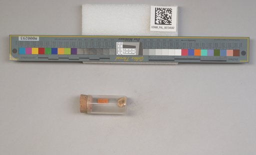 NSF ADBC EPICC TCN