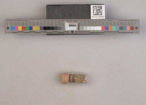 NSF ADBC EPICC TCN