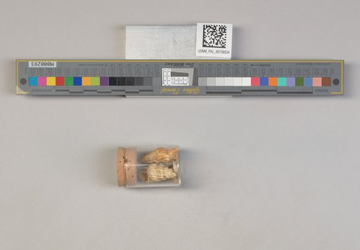 NSF ADBC EPICC TCN