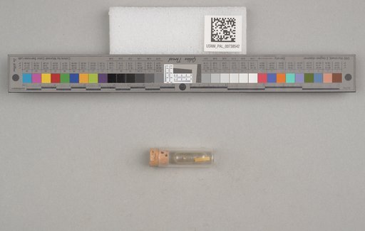 NSF ADBC EPICC TCN