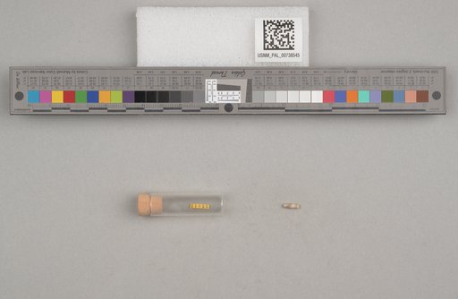 NSF ADBC EPICC TCN