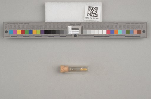 NSF ADBC EPICC TCN