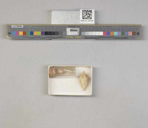 NSF ADBC EPICC TCN