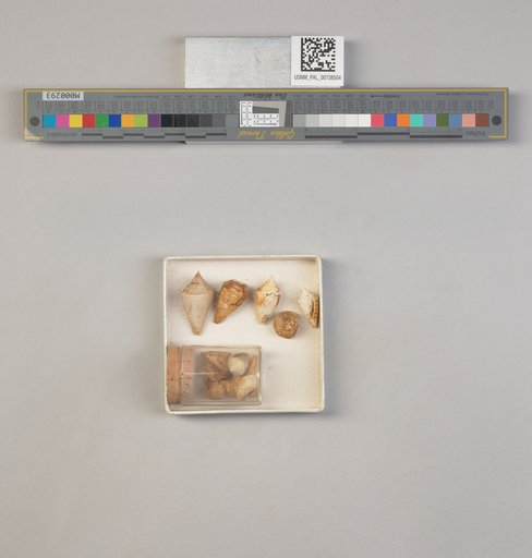 NSF ADBC EPICC TCN