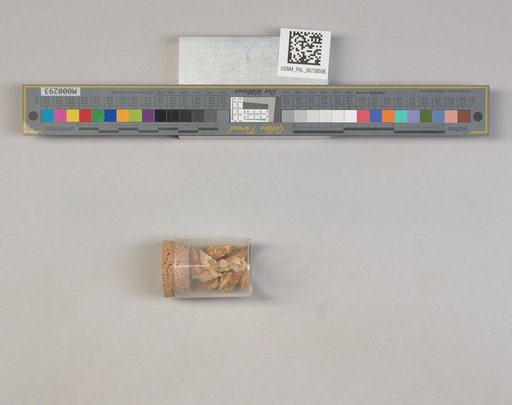 NSF ADBC EPICC TCN