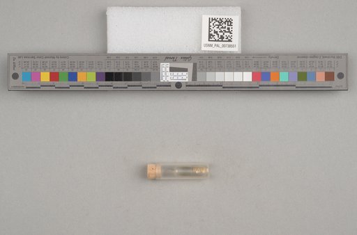 NSF ADBC EPICC TCN