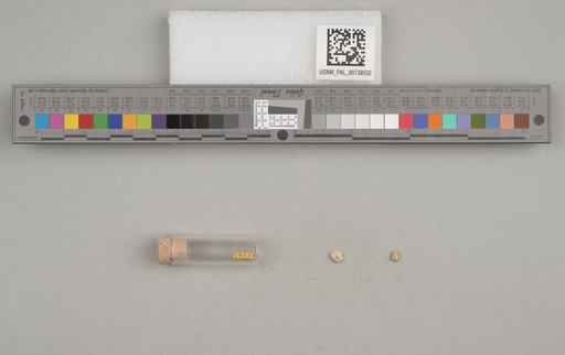 NSF ADBC EPICC TCN