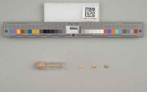 NSF ADBC EPICC TCN