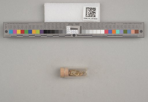 NSF ADBC EPICC TCN