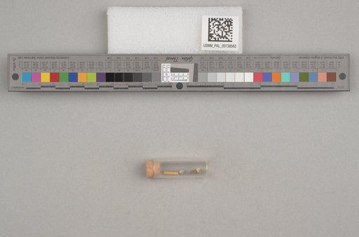 NSF ADBC EPICC TCN