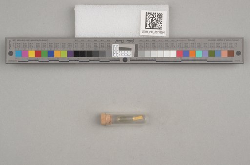 NSF ADBC EPICC TCN