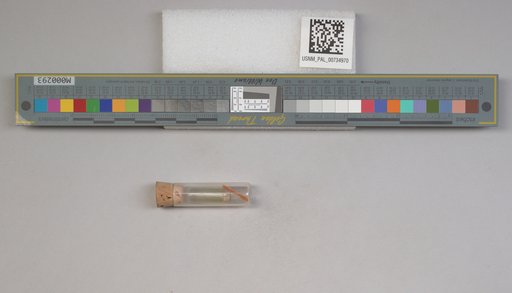 NSF ADBC EPICC TCN