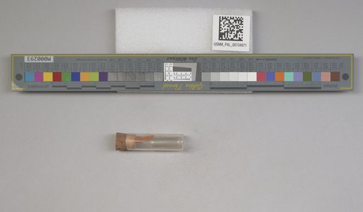 NSF ADBC EPICC TCN