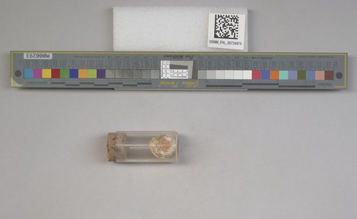 NSF ADBC EPICC TCN
