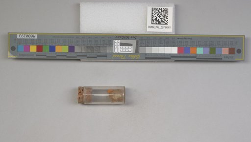 NSF ADBC EPICC TCN