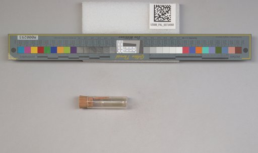 NSF ADBC EPICC TCN