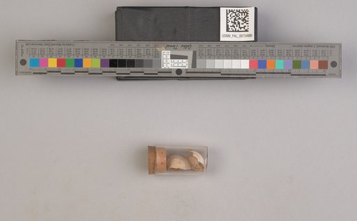 NSF ADBC EPICC TCN