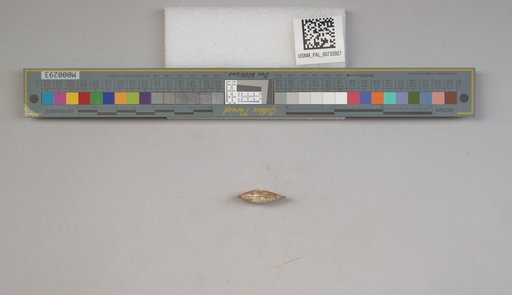 NSF ADBC EPICC TCN