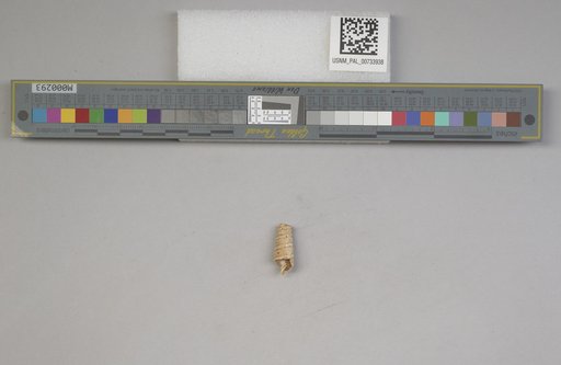 NSF ADBC EPICC TCN