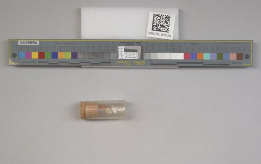 NSF ADBC EPICC TCN
