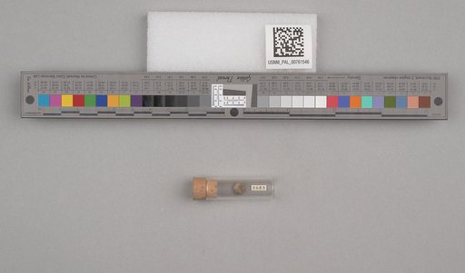 NSF ADBC EPICC TCN